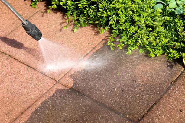 Best Pressure Washing Patio  in White Oak, PA